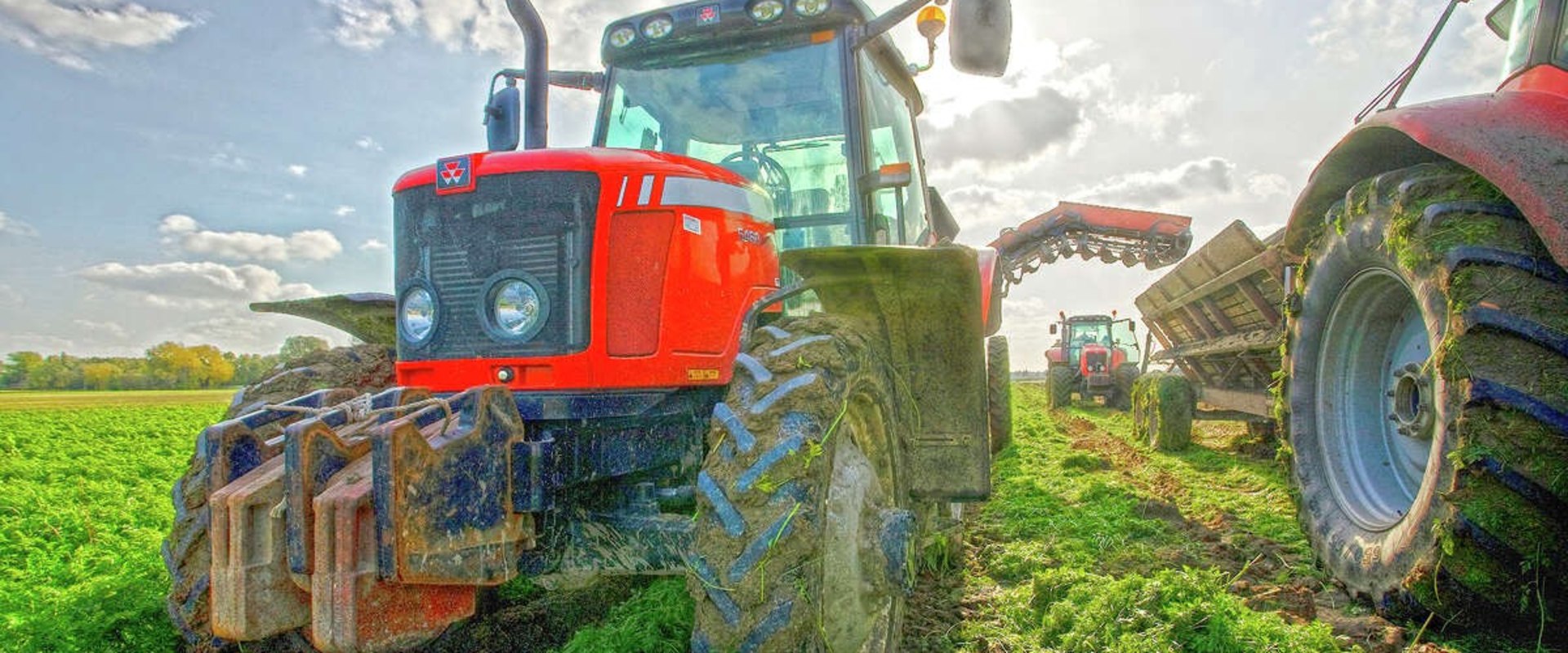 The Future of Sustainable Agriculture: Innovations and Practices