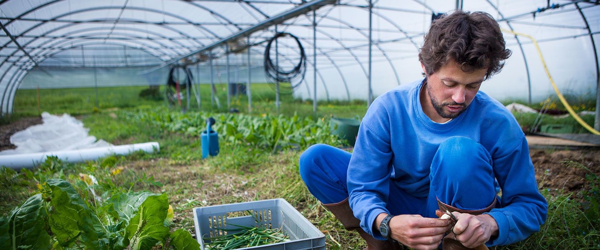 The Future of Farming: The Importance of Sustainable Agriculture