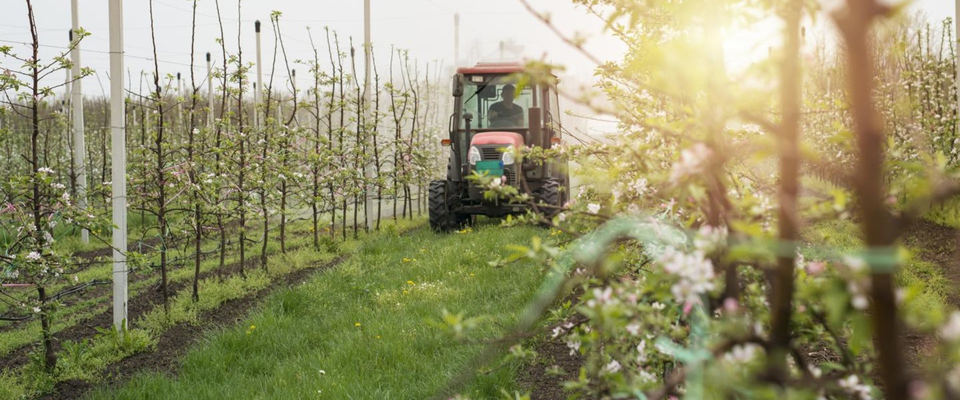 The Importance of Sustainable Agriculture: A Guide from an Expert's Perspective