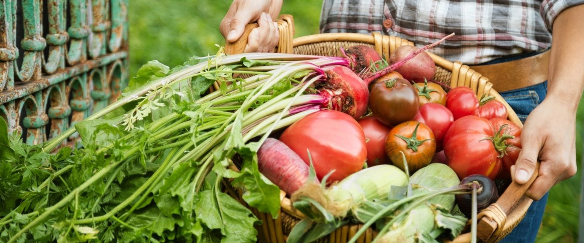 The Unsustainable Practices of Modern Agriculture: An Expert's Perspective