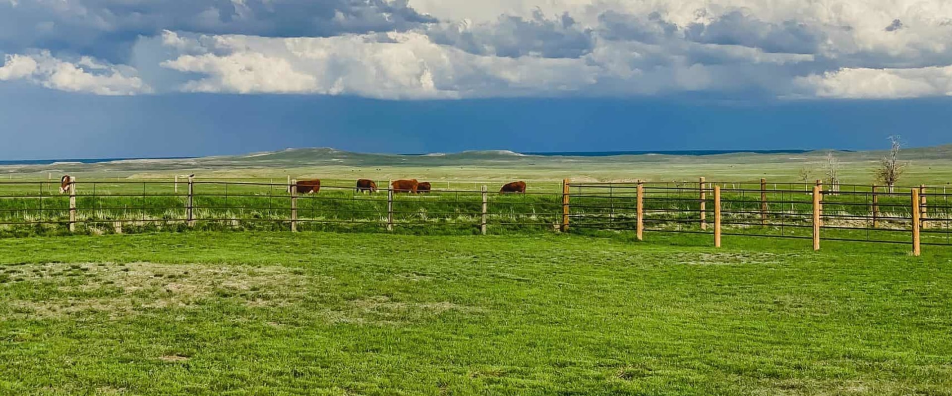 Confused by the Terms? Ranch vs Farm vs Homestead Explained