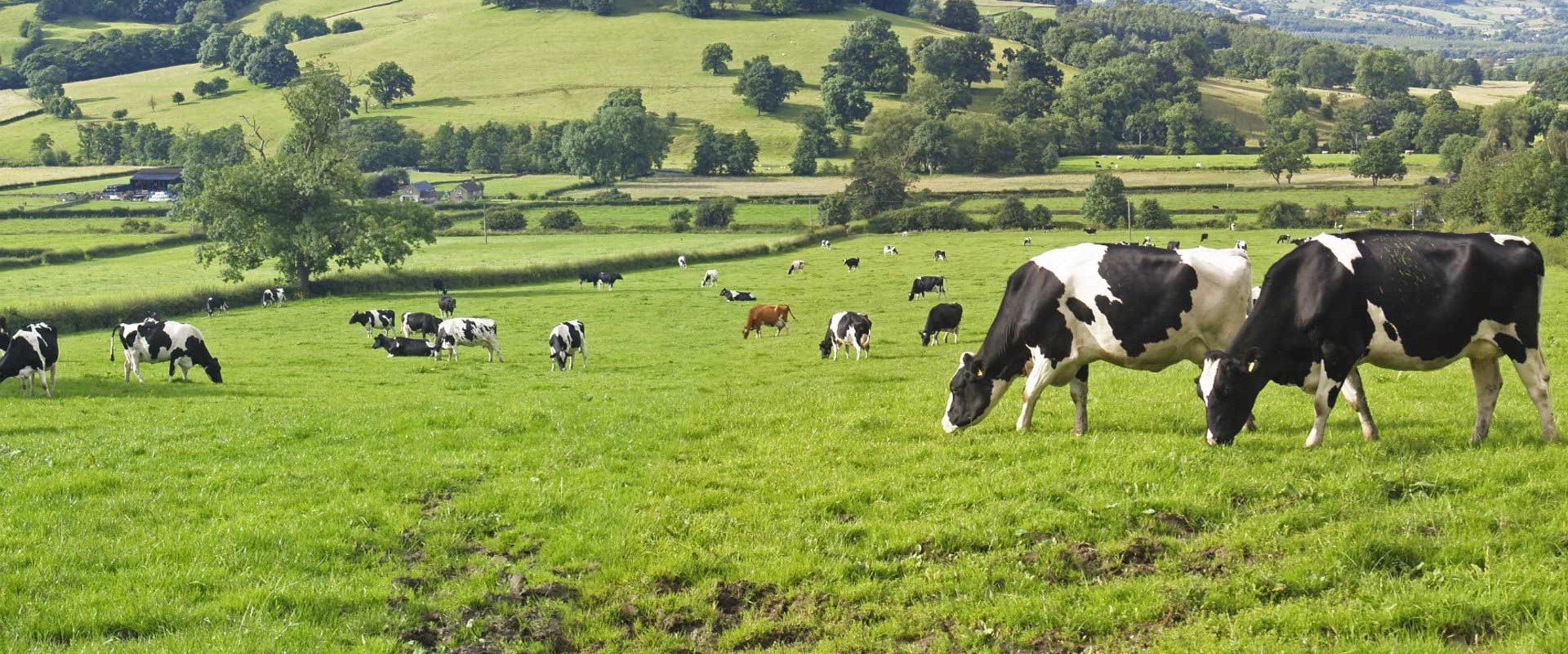The Benefits of Sustainable Farming