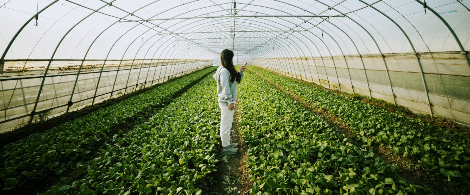 Sustainable Farming: The Benefits and Controversies