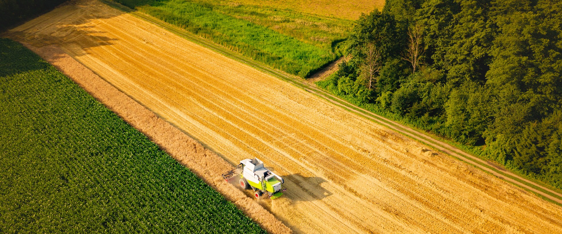 Sustainable Agriculture: A Holistic Approach to Farming