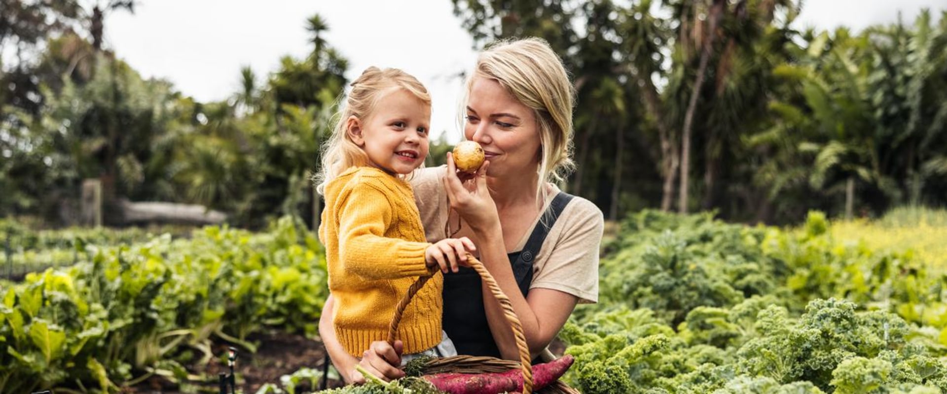 Exploring Sustainable Farming and the Best Farm-To-Table Experiences in Acton Near Los Angeles
