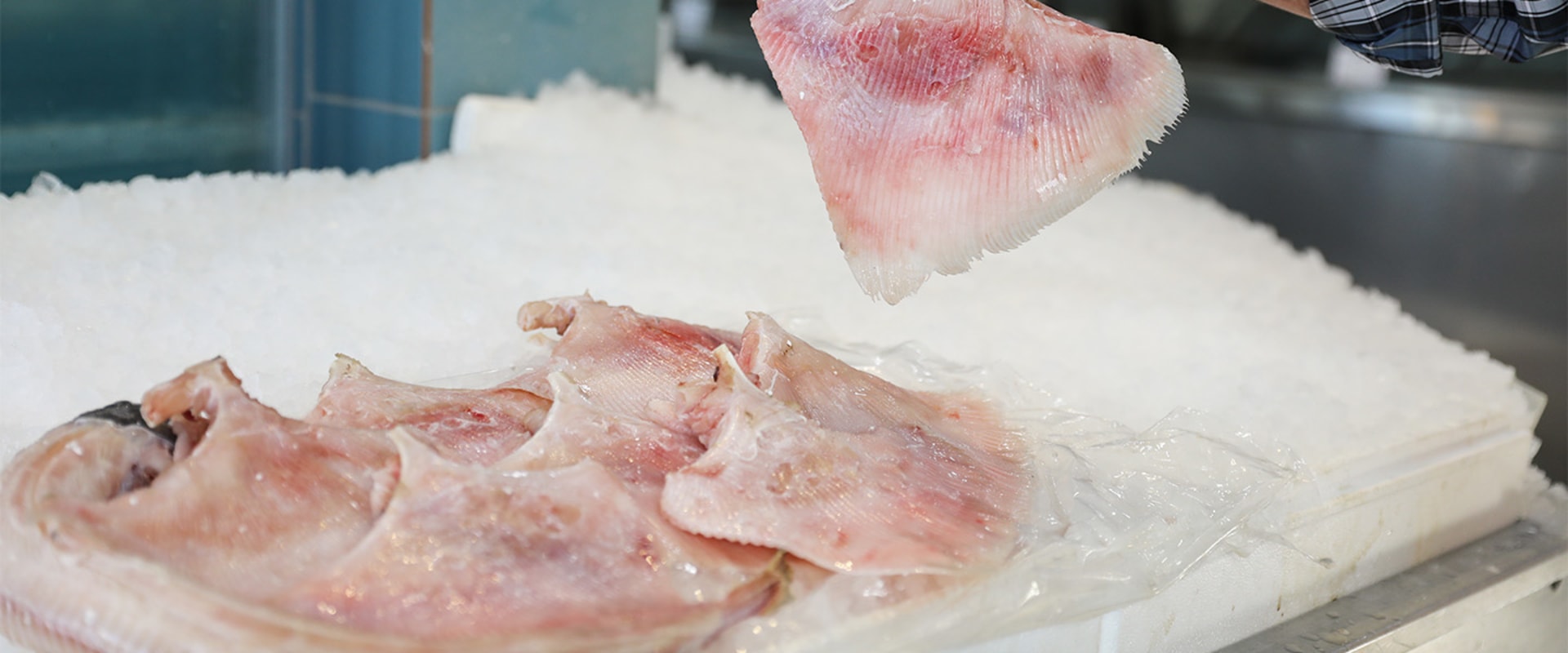 Fresh vs. Frozen Skate Fish: Which Is Better for Cooking?