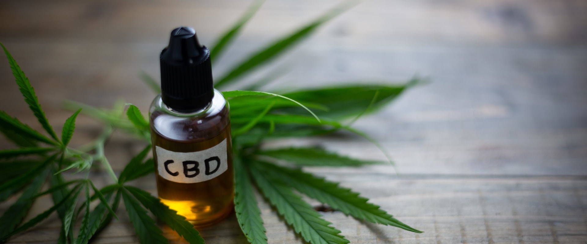 How CBD And THC Affect Panic Disorder Differently