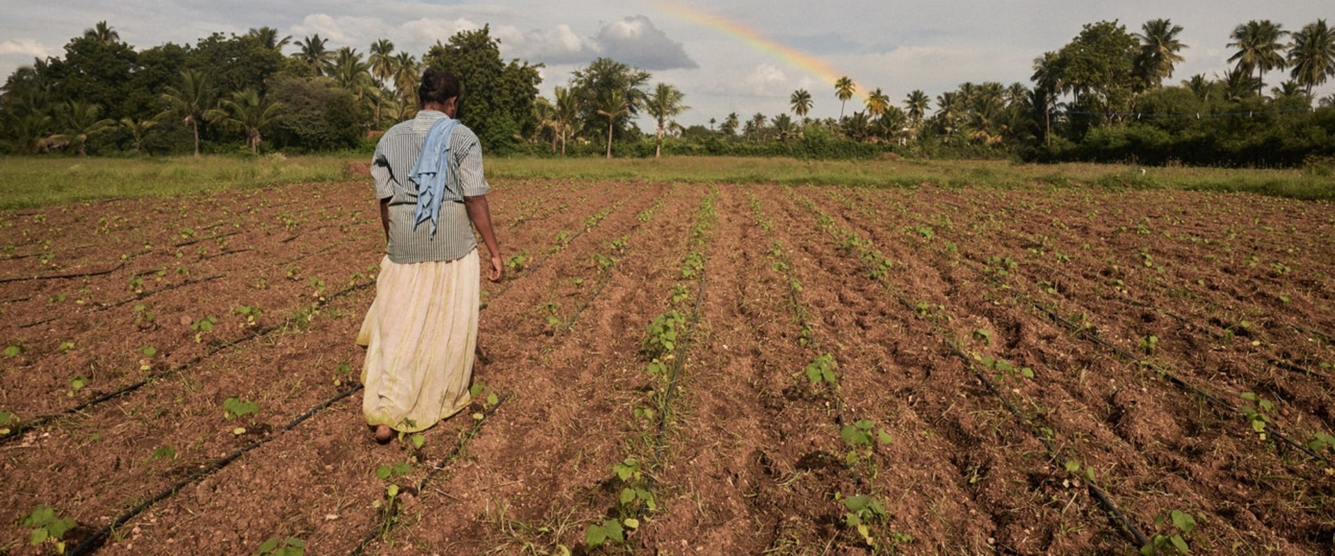 A Look Into The Largest Black-Owned Organic Farm Ranch Near Los Angeles CA And Its Sustainable Farming Techniques