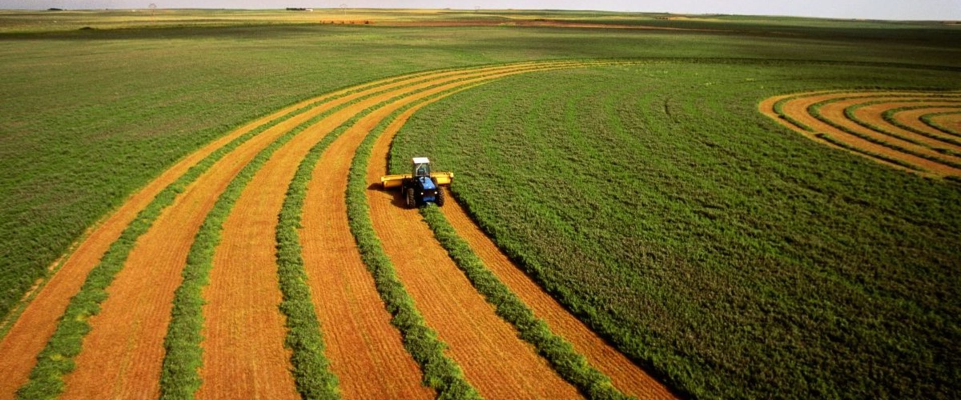 Sustainable Farming: An Expert's Perspective