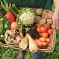 Why You Should Buy Top Pure Organic Farm Fresh Smooth Golden Honey Online From Sustainable Farms