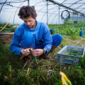 The Benefits of Sustainable Agriculture: A Holistic Approach to Farming