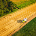 The Importance of Sustainable Agriculture: An Expert's Perspective