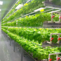 Why Organic Agriculture is the Sustainable Choice for the Environment