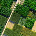 Sustainable Agriculture: A Comprehensive Guide to a Better Future