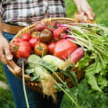 The Unsustainable Practices of Modern Agriculture: An Expert's Perspective