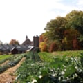 Explore Sustainability With Organic Agricultural Farm Tours & Wellness Near Los Angeles