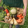 How A Sustainable Healthy Organic Farm Fresh Grocery Online Store Supports Eco-Friendly Farming
