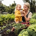 Exploring Sustainable Farming and the Best Farm-To-Table Experiences in Acton Near Los Angeles