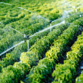 How Dr. Bill Releford's Positive Impact Farming Practices Promote Sustainability
