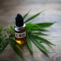 How CBD And THC Affect Panic Disorder Differently