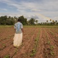A Look Into The Largest Black-Owned Organic Farm Ranch Near Los Angeles CA And Its Sustainable Farming Techniques