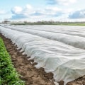 Beyond the Harvest: What Do Farmers Do in the Winter to Keep Their Farms Thriving?