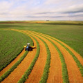 Sustainable Farming: An Expert's Perspective