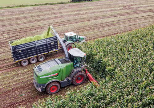 What is Harvesting? An In-Depth Look at the Stages, Techniques, and Key Factors That Influence Efficient Harvesting