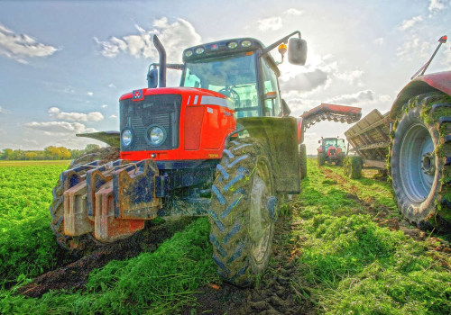 The Future of Sustainable Agriculture: Innovations and Practices