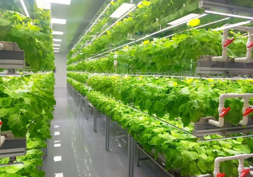 Why Organic Agriculture is the Sustainable Choice for the Environment