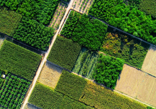 Sustainable Agriculture: A Comprehensive Guide to a Better Future