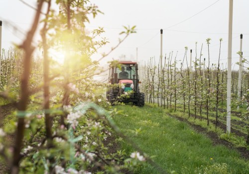 The Importance of Sustainable Agriculture: A Guide from an Expert's Perspective
