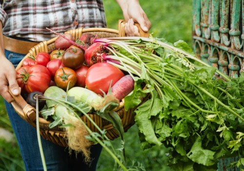 The Unsustainable Practices of Modern Agriculture: An Expert's Perspective
