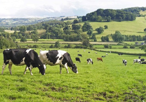 The Benefits of Sustainable Farming