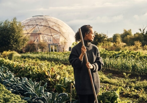 The Benefits of Sustainable Farming: An Expert's Perspective
