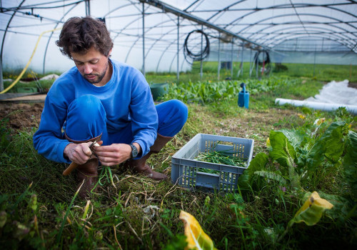 The Key Principles of Sustainable Agriculture