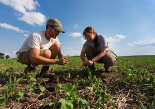 Sustainable Agriculture: Balancing Present and Future Needs
