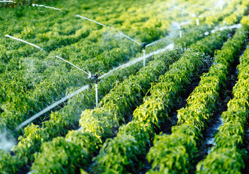 How Dr. Bill Releford's Positive Impact Farming Practices Promote Sustainability