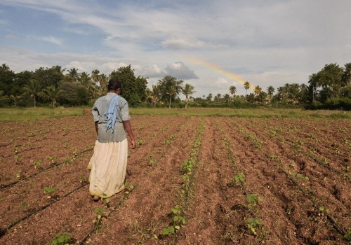 A Look Into The Largest Black-Owned Organic Farm Ranch Near Los Angeles CA And Its Sustainable Farming Techniques