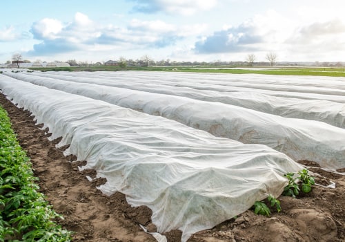 Beyond the Harvest: What Do Farmers Do in the Winter to Keep Their Farms Thriving?
