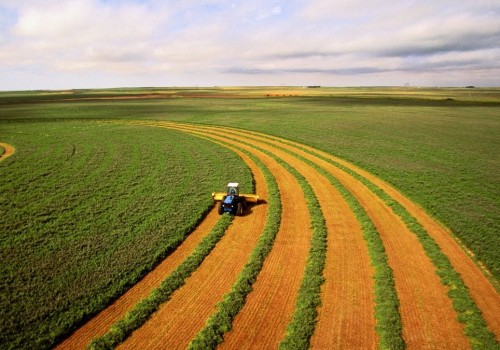 Sustainable Farming: An Expert's Perspective